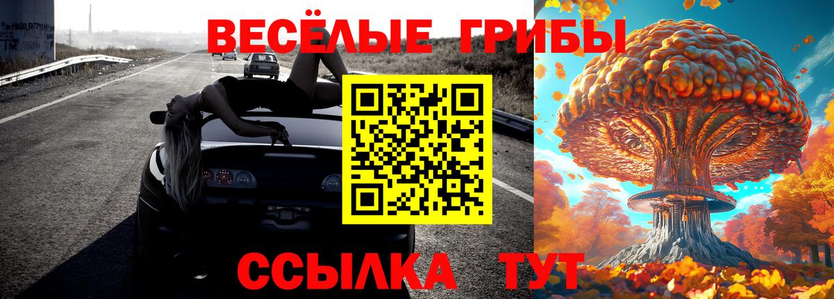 Псилоцибиновые грибы ЛСД Сокол