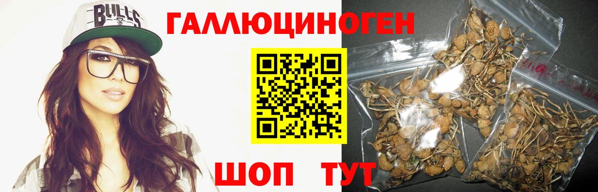 Сокол  даркнет сайт  Вход с VPN  Псилоцибиновые грибы прущие грибы 